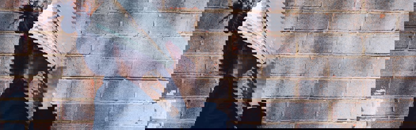 Facebook, LinkedIn & Instagram Ads