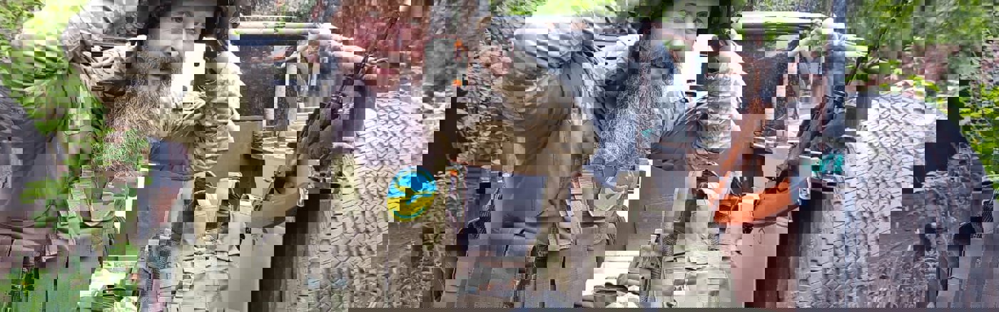 Google Analytics (GA4) dashboard voor Protect Ukraine