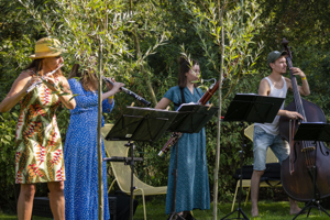 Advies bedrijfssponsoring voor Festival Veenhuizen