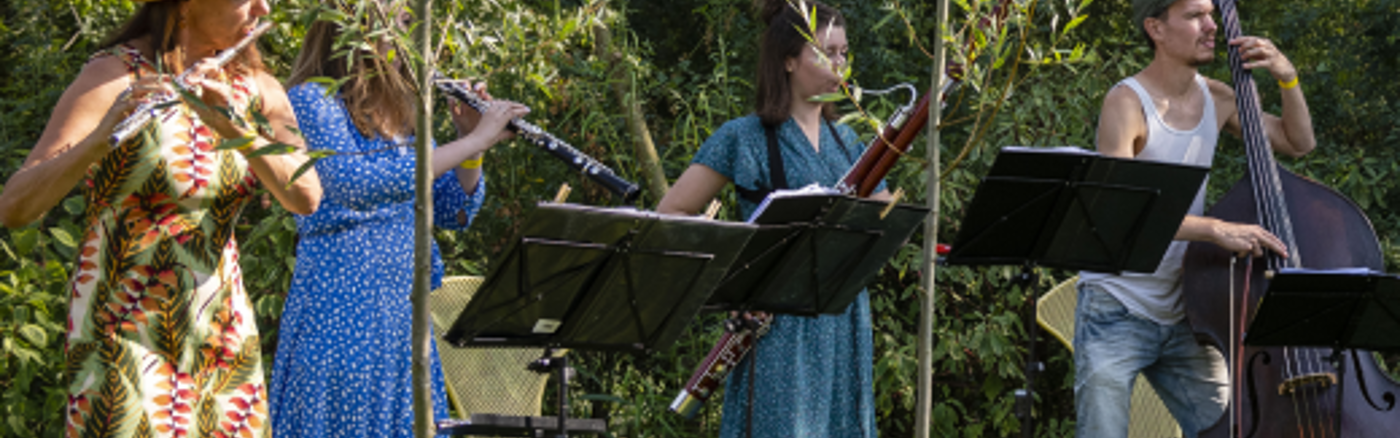 Verkenning bedrijfssponsoring voor Festival Veenhuizen (adviesproject)