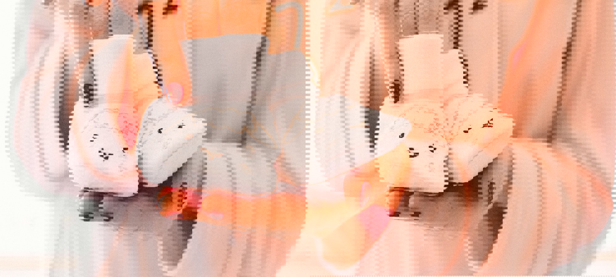 06e0b85c-941f-4900-8649-d2ee5bbf5fb3