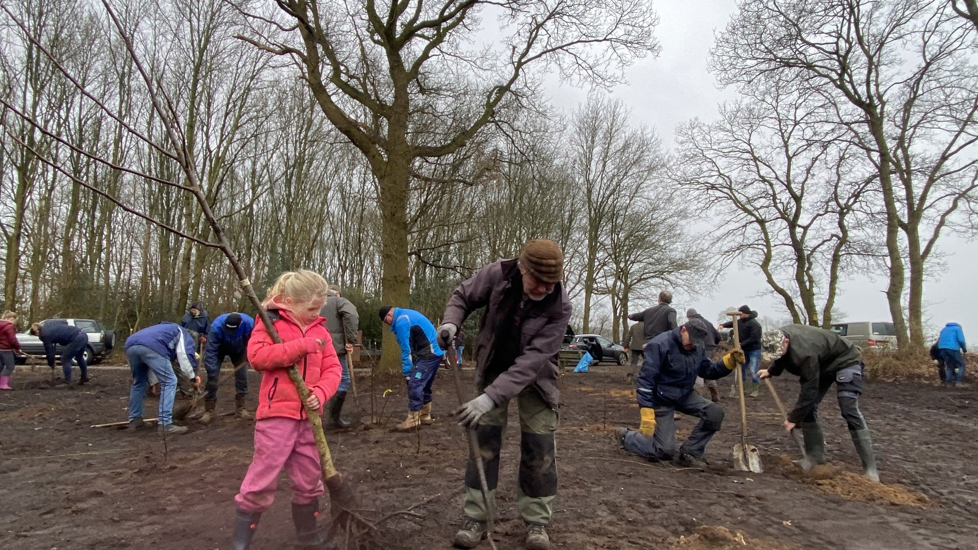 Landschapsbeheer Drenthe