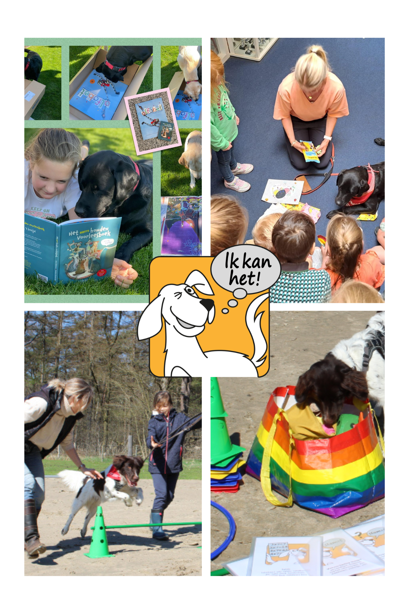 Stichting AAI-maatje