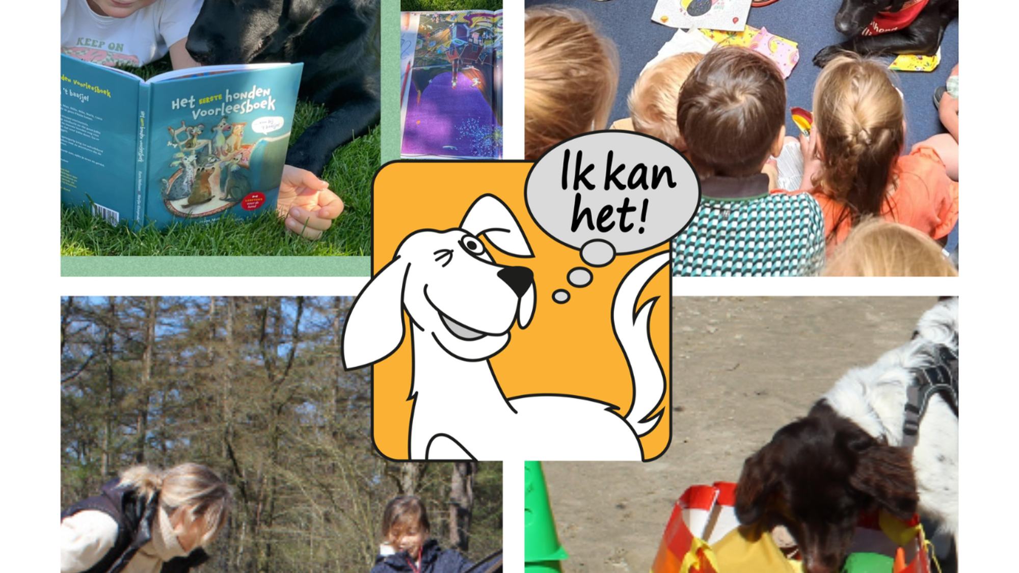 Stichting AAI-maatje