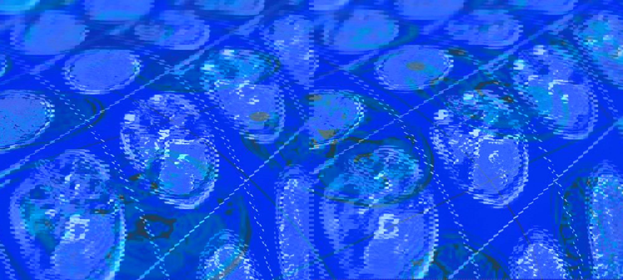 7f73de55-2c61-4e84-af2b-cd85a14b9ea4