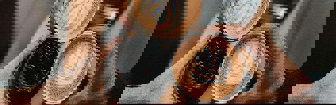 Website design & Wordpress Thema inrichten