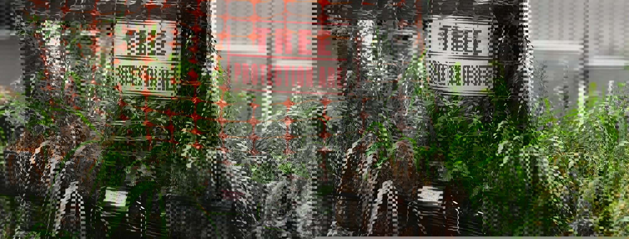 Lance Grandahl Cmqgg6ye3ee Unsplash (1)