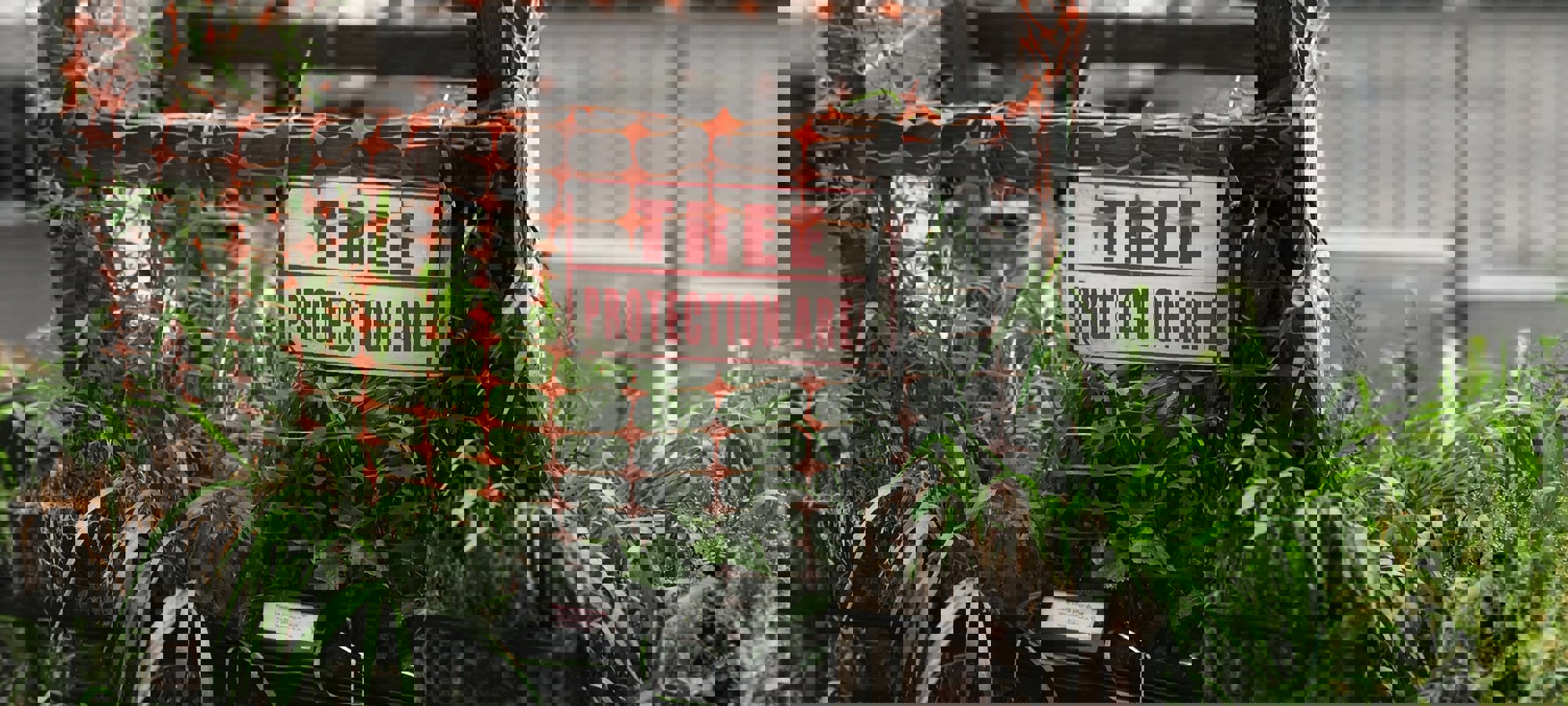 Lance Grandahl Cmqgg6ye3ee Unsplash (1)