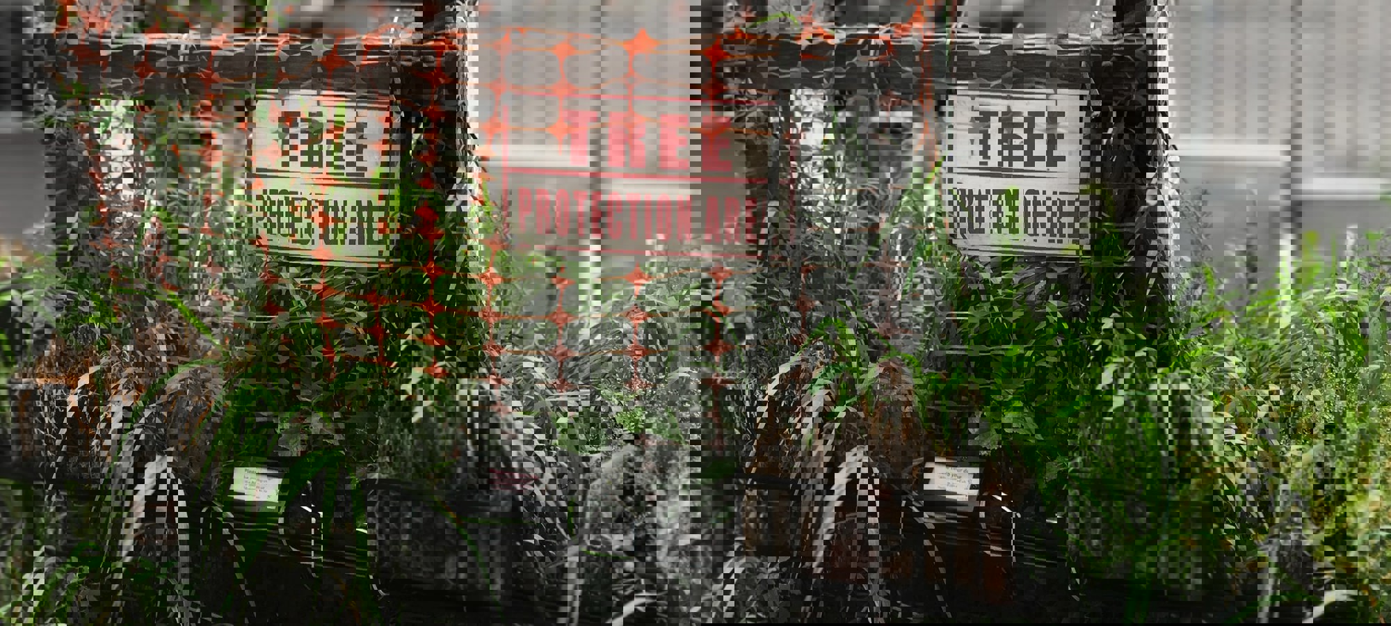 Lance Grandahl Cmqgg6ye3ee Unsplash (1)