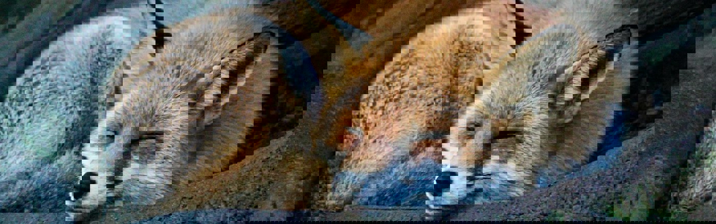 Fotoshoot op locatie