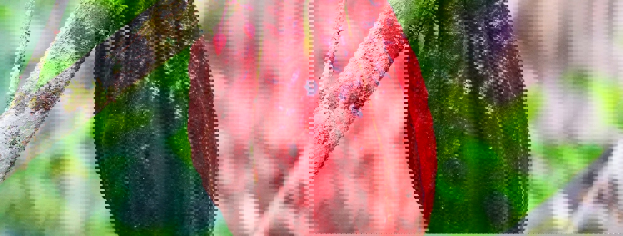 6dd2e5ea-4f1e-4ca4-973b-a66d32769e0a