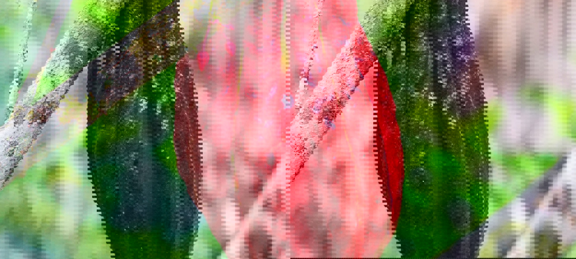 6dd2e5ea-4f1e-4ca4-973b-a66d32769e0a