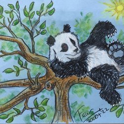 Voorbeeld tekening