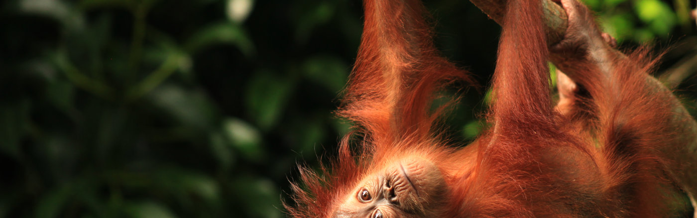 Event conceptplan sessies