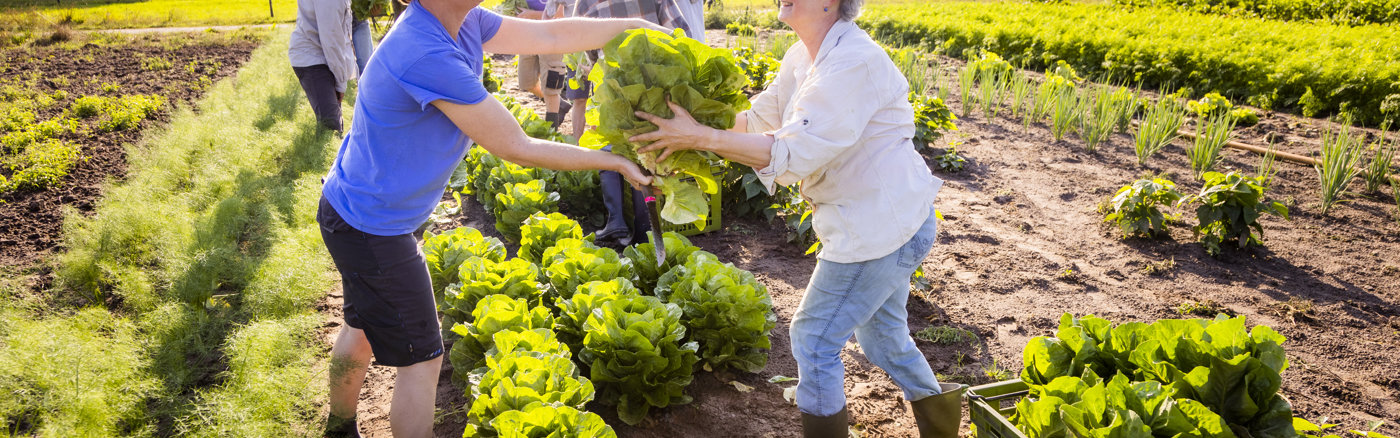 Strategisch advies over Marketing