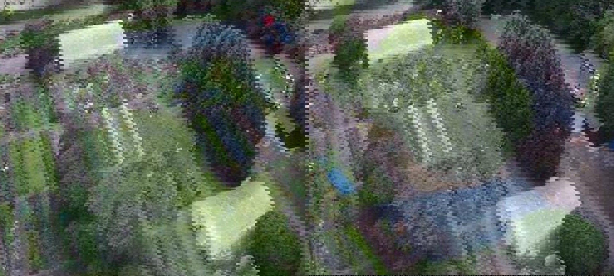 85300e5e-d5c8-4794-9b10-6a01bc64944a (1)