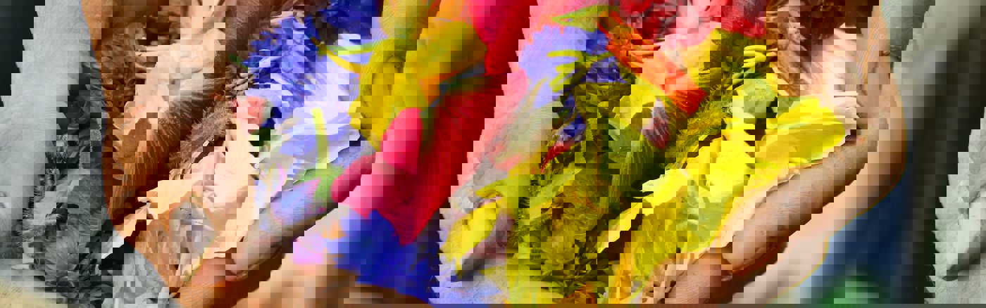 Online KPI's bepalen en meetbaar maken