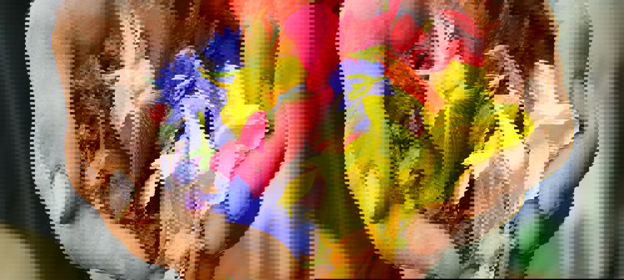 Jan Canty Ps8ffpzgjxm Unsplash