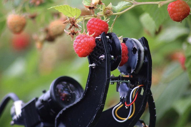 Netwerk Voedselbosbouw