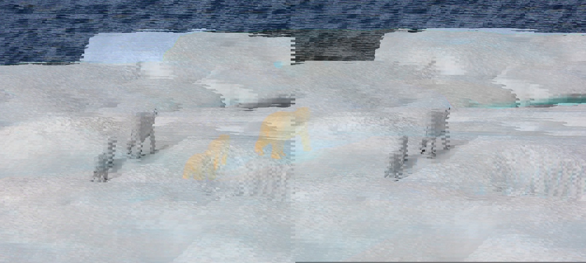Noaa Fjdl7awkxok Unsplash