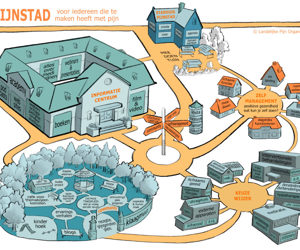 Landelijke Pijn Organisatie