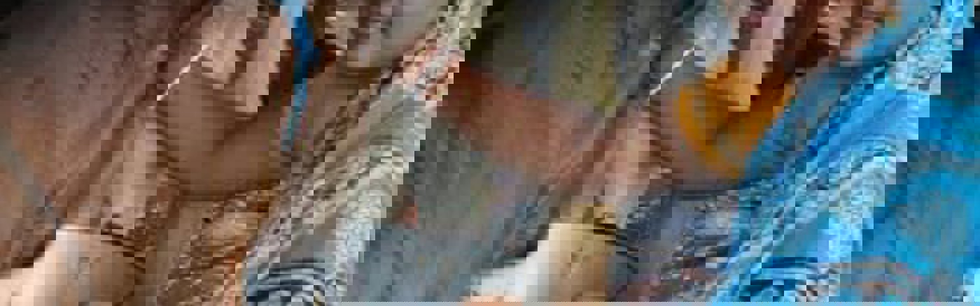 Strategisch advies over marketing