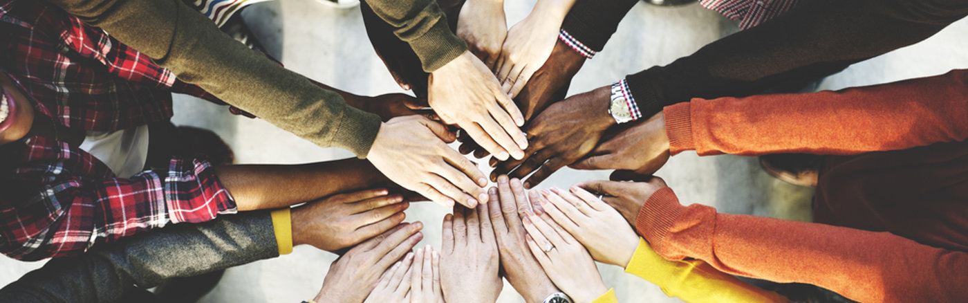 Website content update