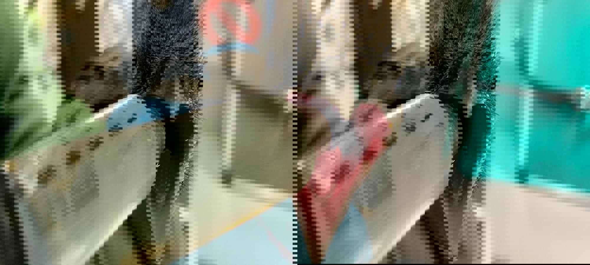 6f629920-6607-4a5a-82dd-09f8ec0e0619