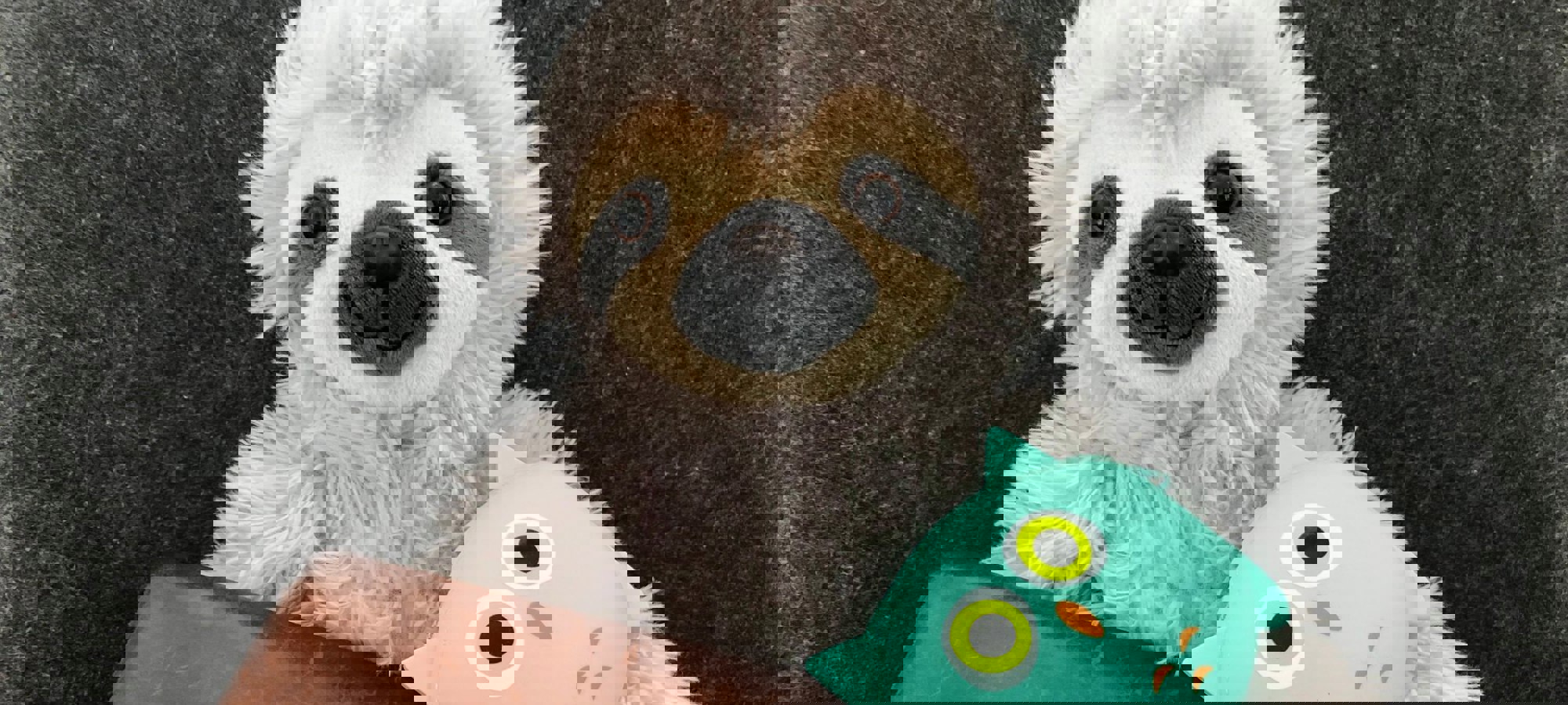 325
