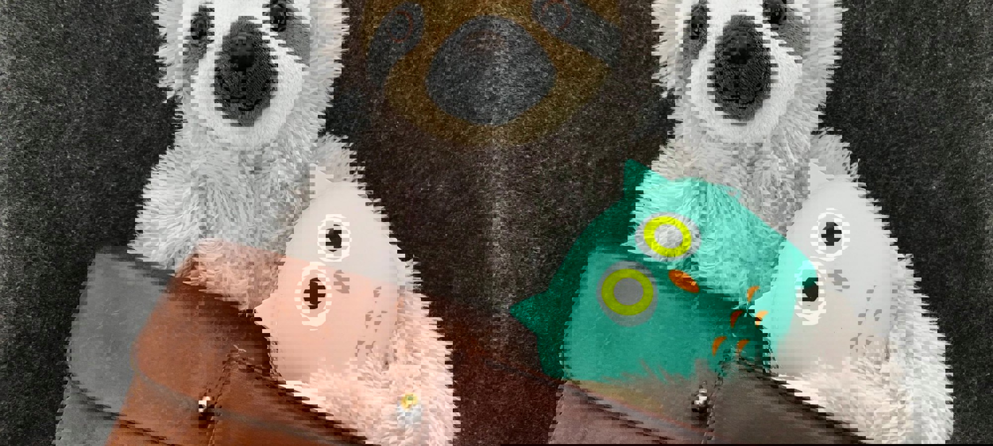 325