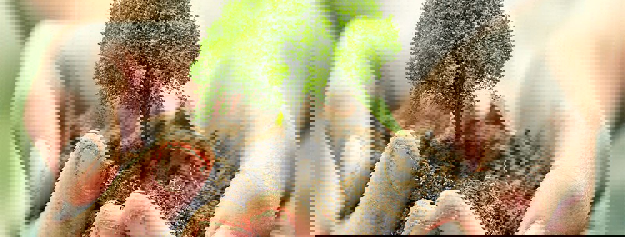 6f4f83ac-5049-4252-9c99-41f3d3546442