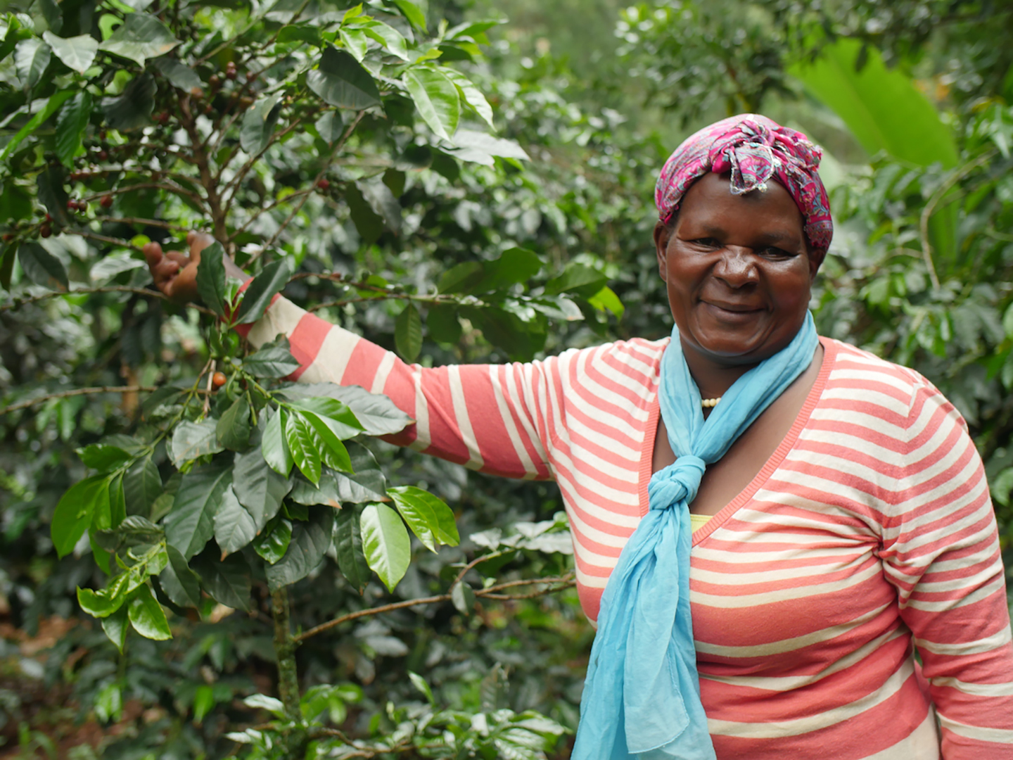 Video's Social Media Voor Wakibi