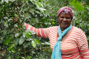 Video's Social Media Voor Wakibi