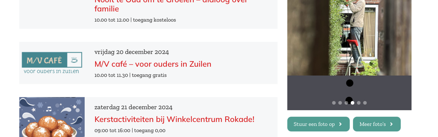 Website design & Wordpress Thema inrichten