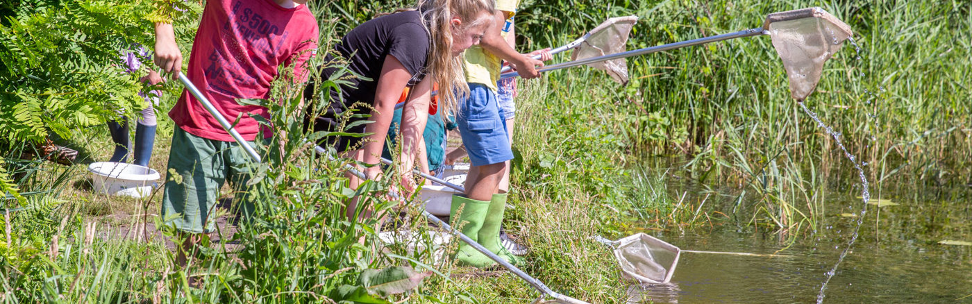 Strategisch advies over Social Media