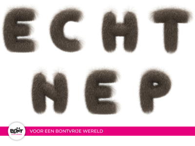 Video bonttest