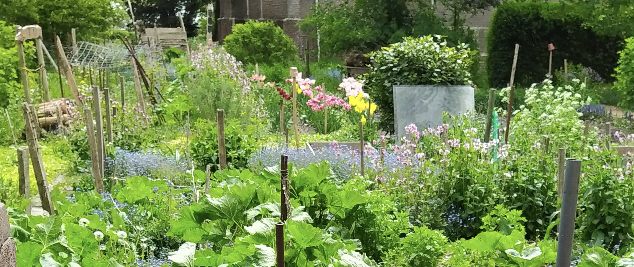 Vrijwilligersbeleid Document opstellen