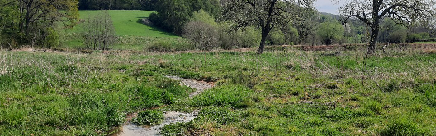Inspirerende natuur verhalen