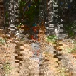 Actief in de natuur is helend