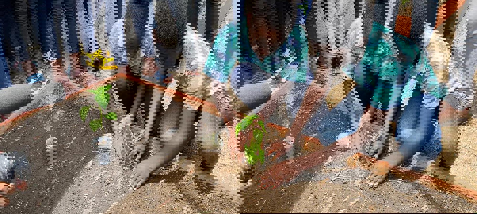 IMG 20211104 WA0040