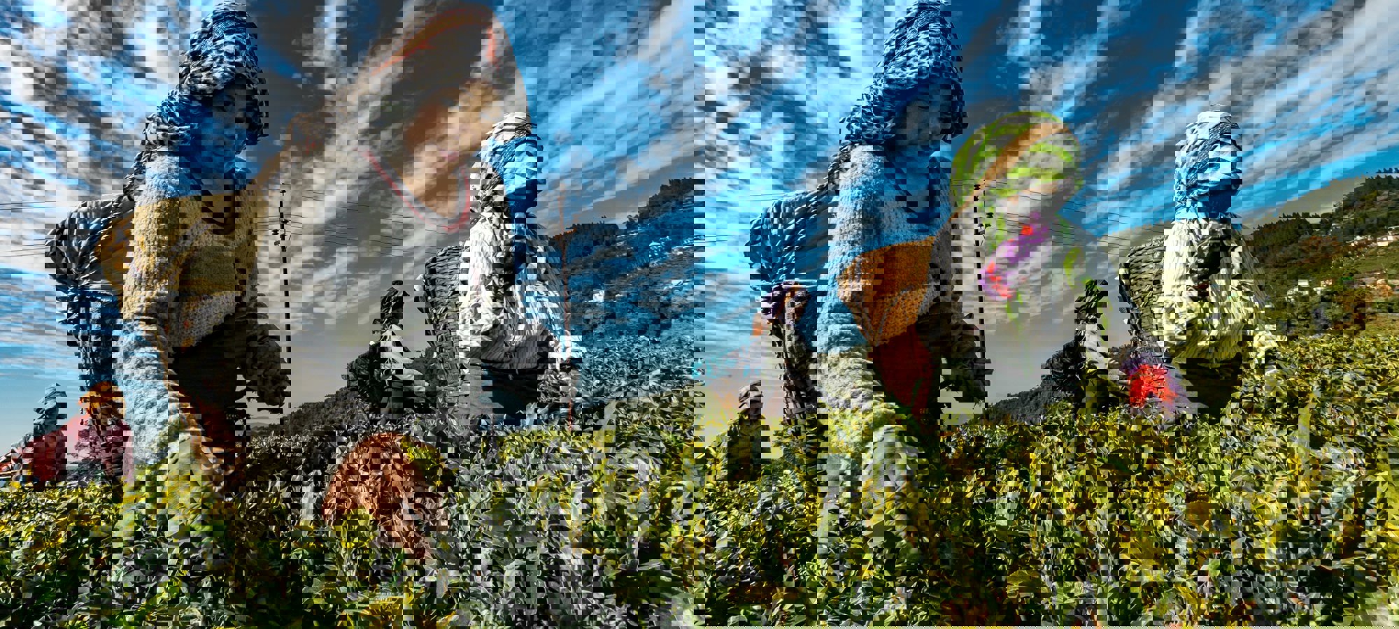 Bbh Singapore D2hs0grfcpq Unsplash