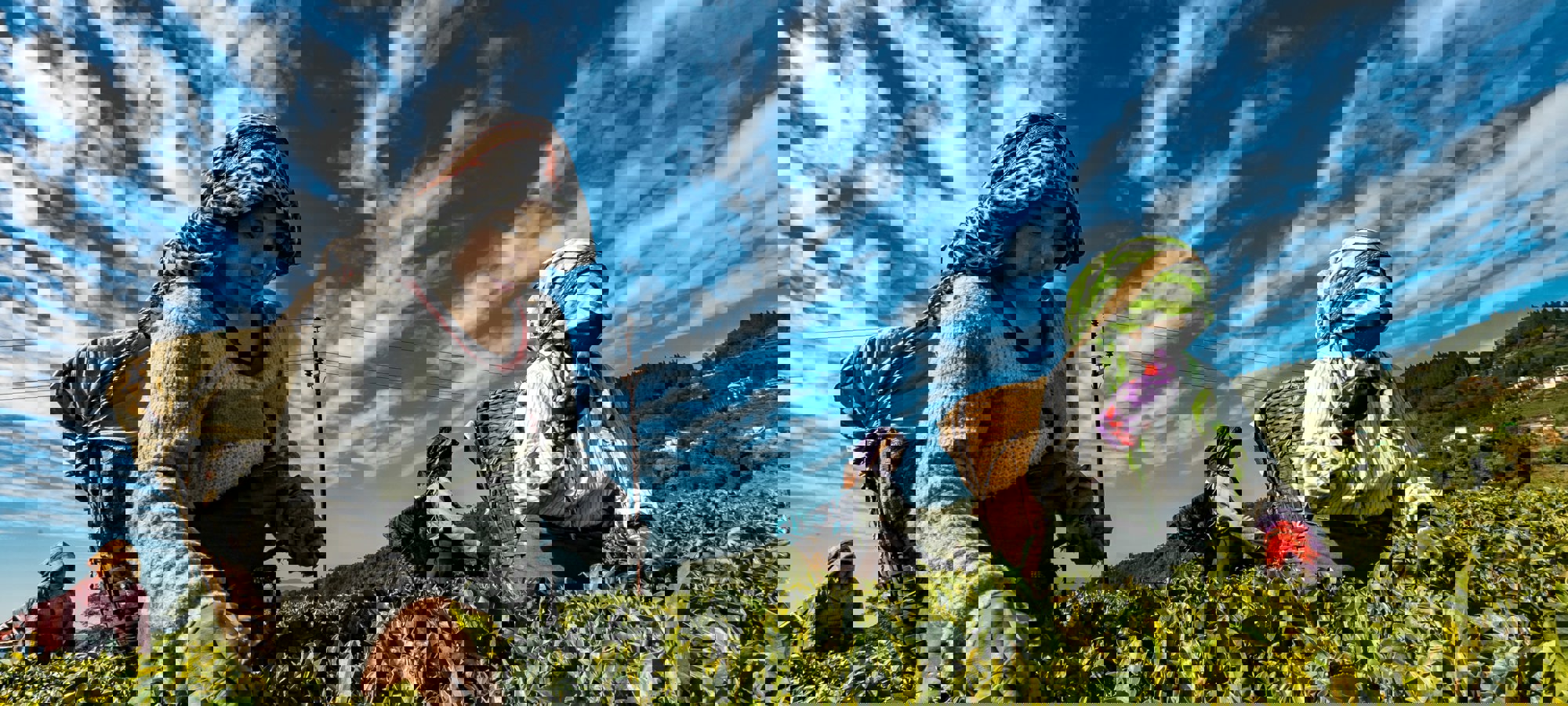 Bbh Singapore D2hs0grfcpq Unsplash