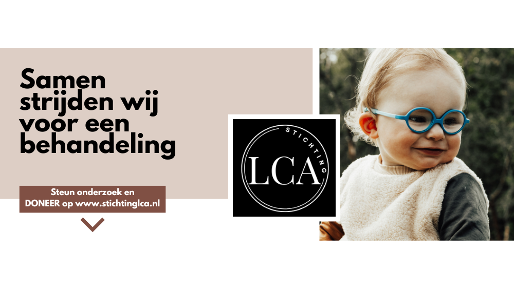 Schrijf een campagneplan voor Stichting LCA