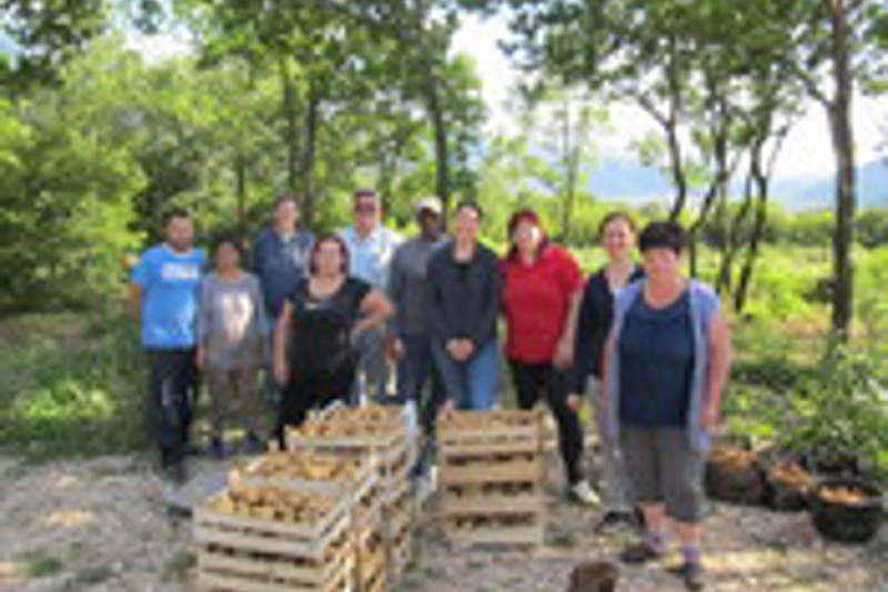 Stichting Zending Over Grenzen