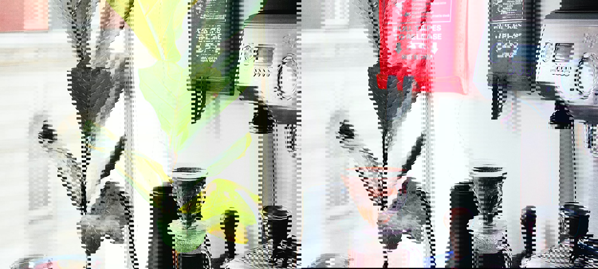 Max Whitehead 0Qgh3vl J8s Unsplash