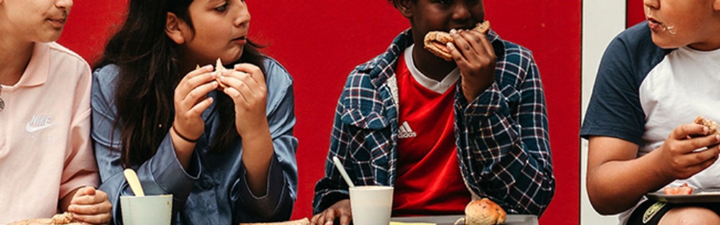 1 uur advies over social media