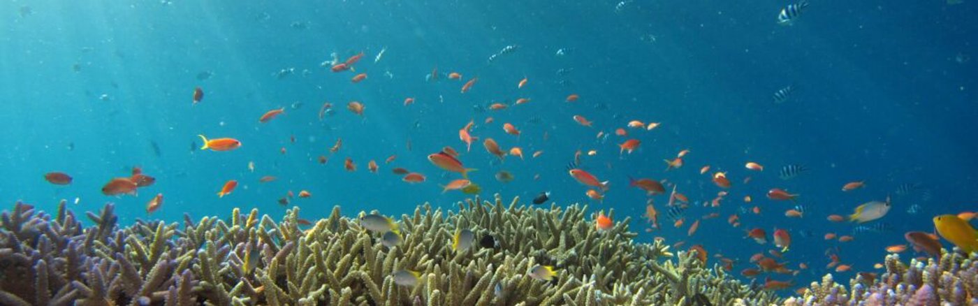 Strategisch advies over Marketing