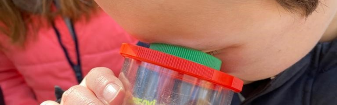 Gezocht: Office365 expert die bijhouden van administratie efficiënter kan maken