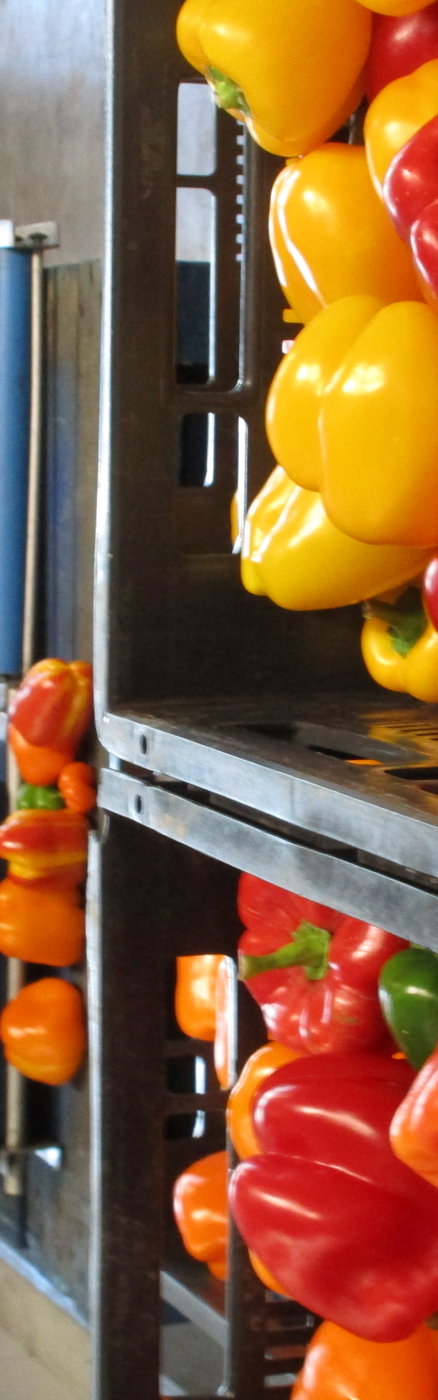 Fotoshoot op locatie