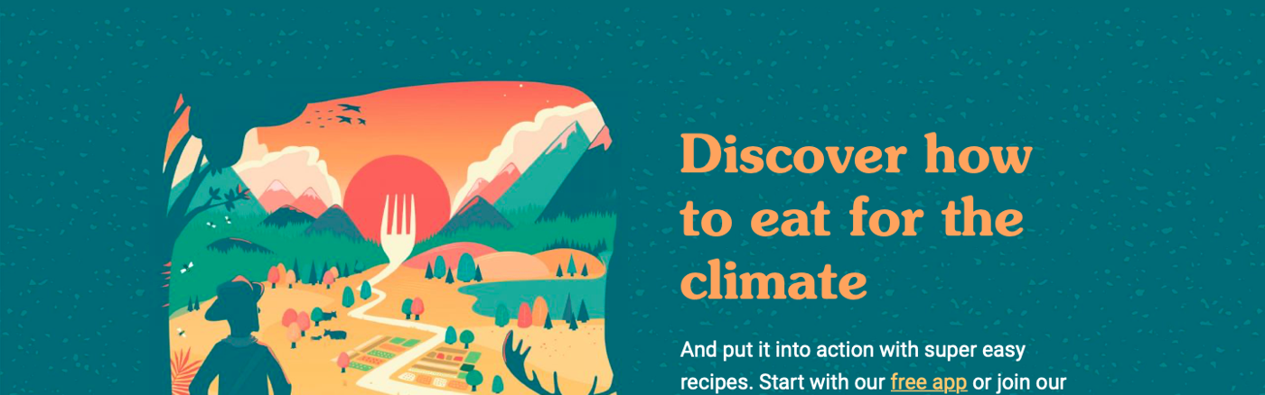 Interim vrijwilliger: Web Developer